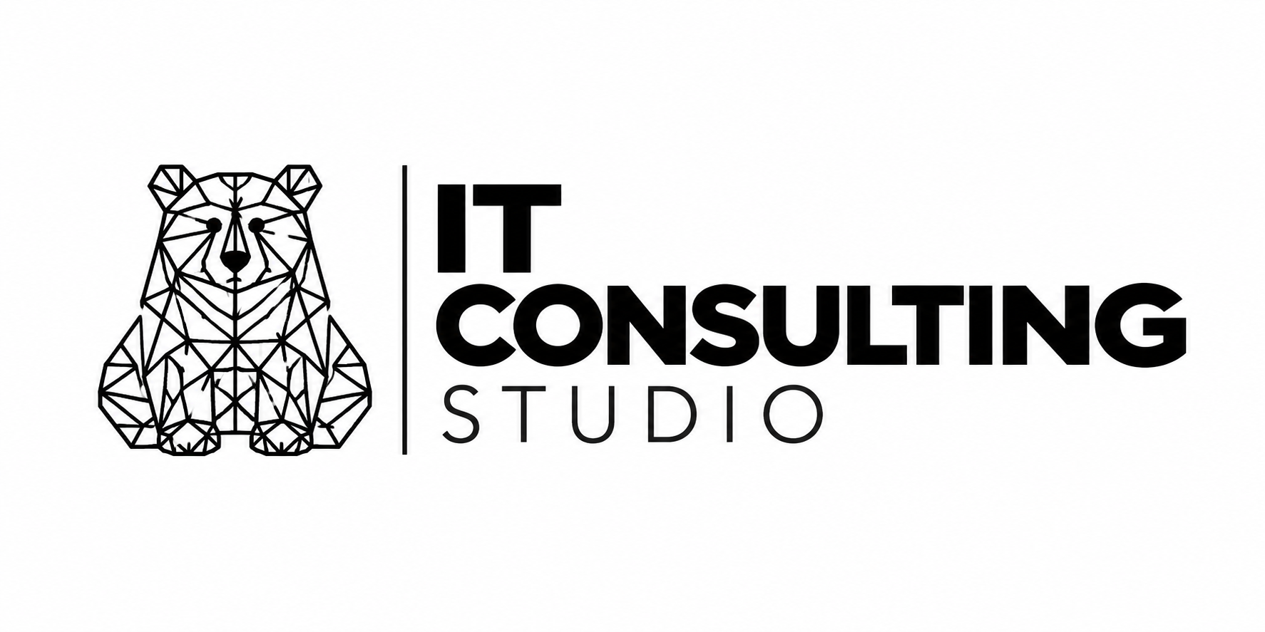 IT Consulting Studio